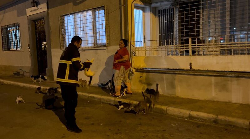 Kedi üzerinde koli bandıyla kaçtı, itfaiye yardım için kovaladı