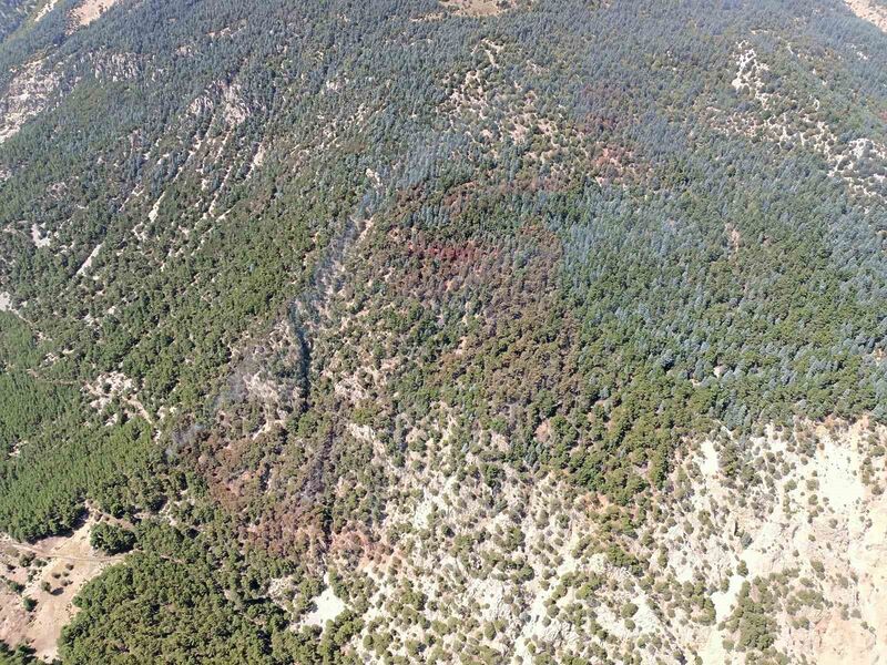 Kumluca’daki orman yangını kontrol altına alındı