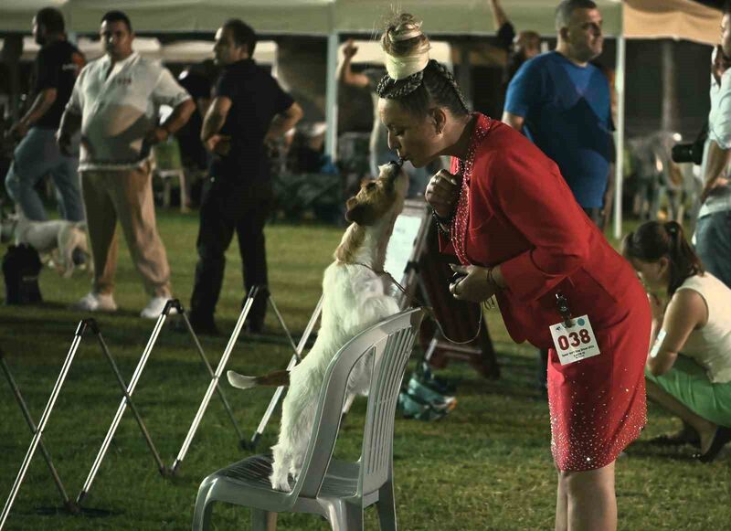 KUŞADASI BELEDİYESİ'NİN KATKILARIYLA KÖPEK