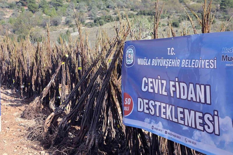 MUĞLA BÜYÜKŞEHİR BELEDİYESİ “HER