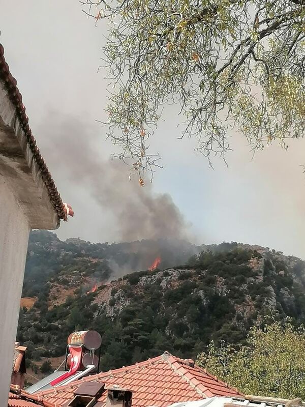 MUĞLA’DA ORMAN YANGINI