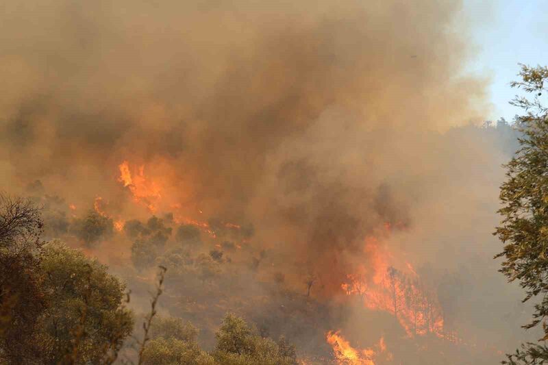 MUĞLA’DAKİ YANGIN YOLU KAPATTI