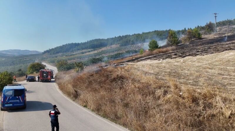 BURSA’NIN MUDANYA İLÇESİNDE OTLUK