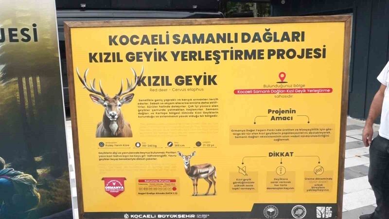 KOCAELİ BÜYÜKŞEHİR BELEDİYESİ İLE