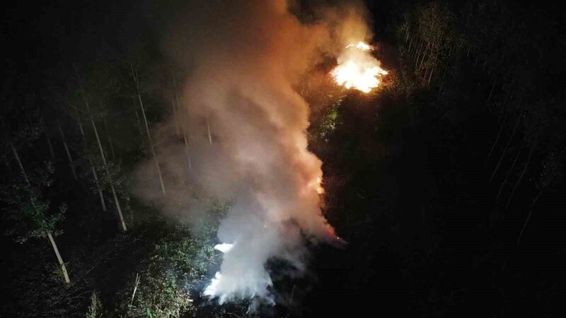 Sakarya’da ağaçlık alanda korkutan yangın