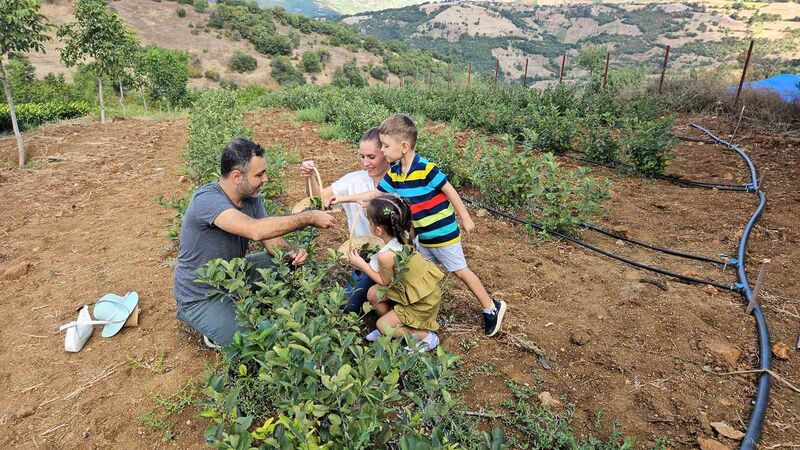 SINDIRGI İLÇESİNİN ÇIKRIKÇI KIRSAL