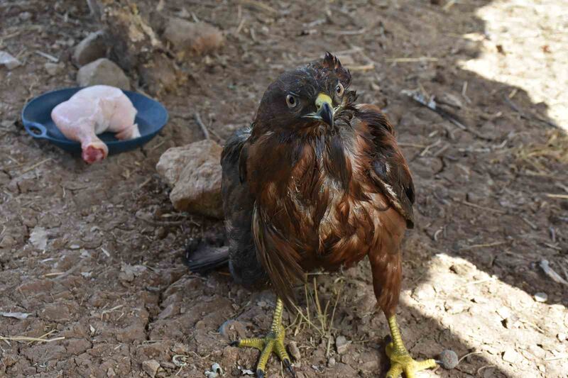 ŞIRNAK’TA DUYARLI VATANDAŞLAR TARAFINDAN