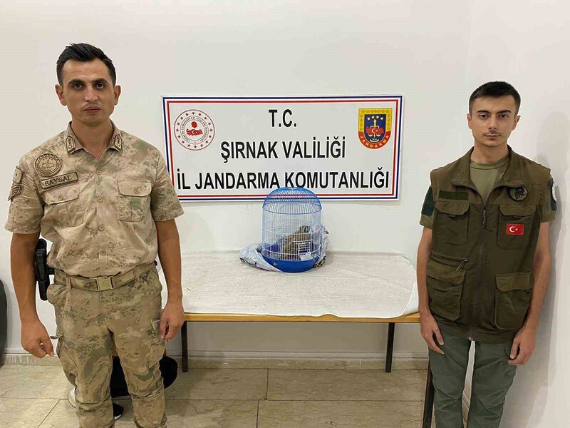 ŞIRNAK’IN CİZRE İLÇESİNDE JANDARMA