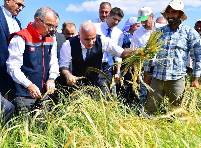 DİYARBAKIR'IN KARACADAĞ BÖLGESİNDE TAŞLI