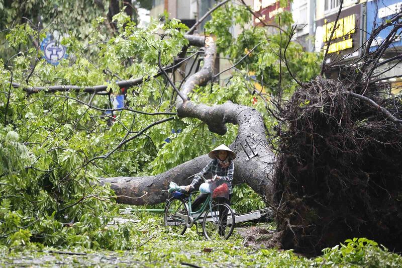 Vietnam’da Yagi Tayfunu bilançosu arttı: 21 ölü