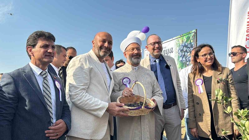 Yalova Aronya Festivali renkli görüntülerle başladı