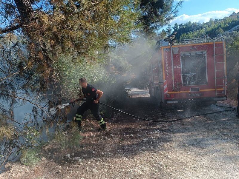 HATAY’DA ORMANLIK ALANDA YAŞANAN