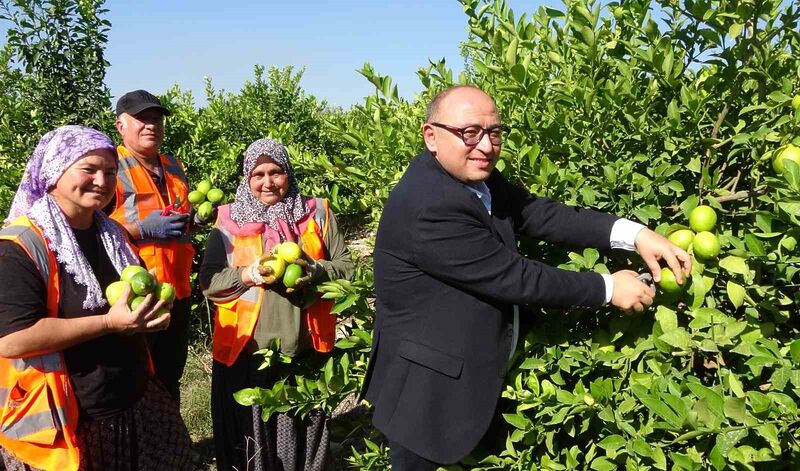 TÜRKİYE'DE LİMONUN BAŞKENTİ OLARAK