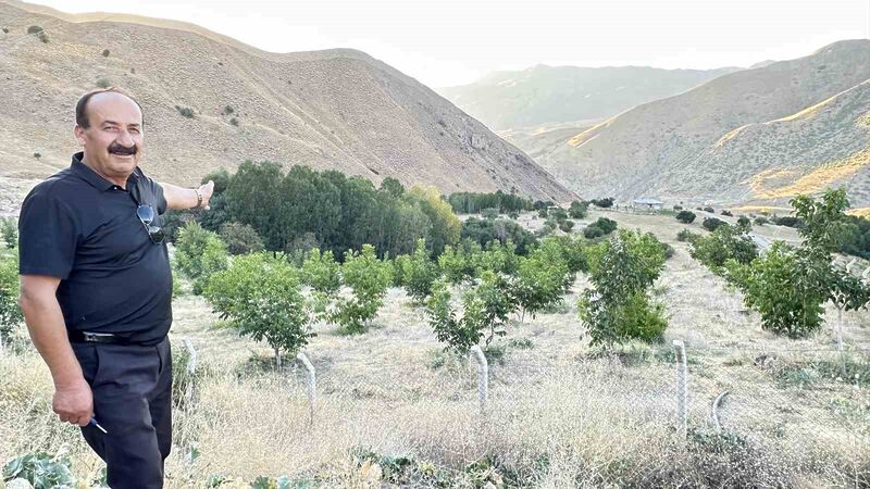 HAKKARİ’NİN YÜKSEKOVA İLÇESİNDE BİLİNÇLİ