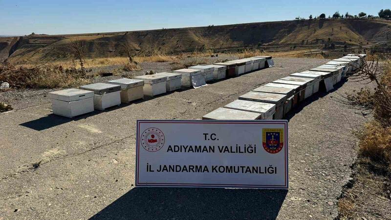 ADIYAMAN’DA, ARI KOVANLARINI ÇALAN