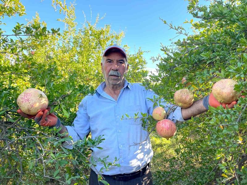 TÜRKİYE’NİN AVRUPA BİRLİĞİ (AB)