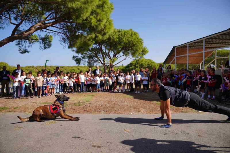 AYVALIK’TA SOKAK HAYVANLARI UNUTULMADI