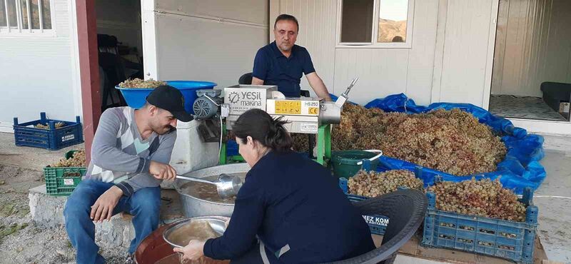 Bağbozumunda teknolojik aletler kullanılıyor