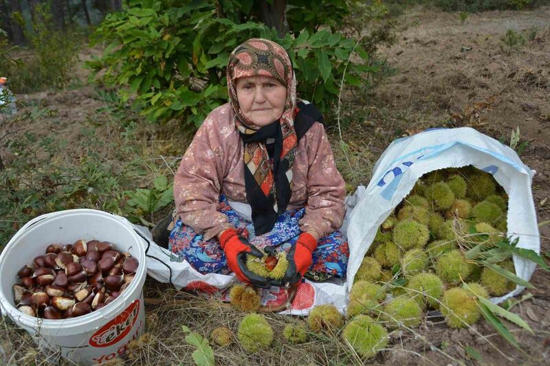 BALIKESİR’İN BİGADİÇ İLÇESİNDE DAĞLIK