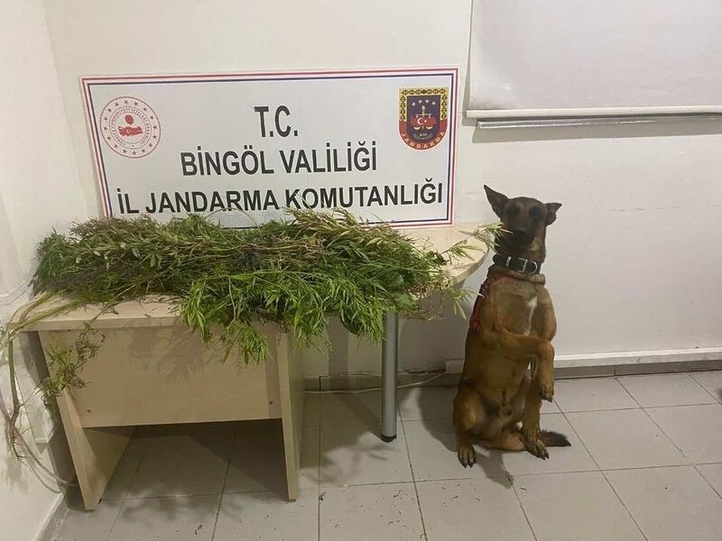 BİNGÖL’DE JANDARMA EKİPLERİ TARAFINDAN