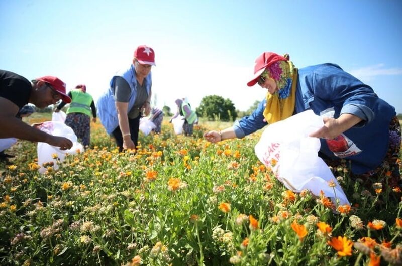 ÇANAKKALE SAVAŞLARI’NIN YAŞANDIĞI TARİHİ