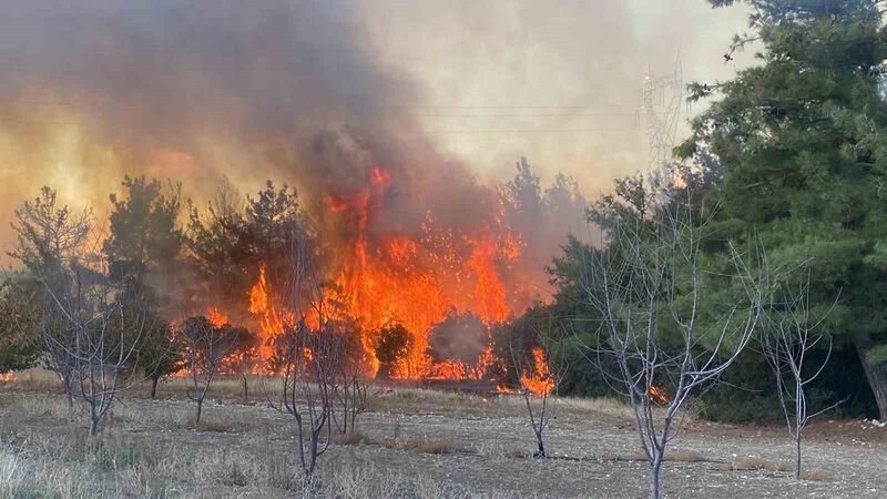 ÇANAKKALE