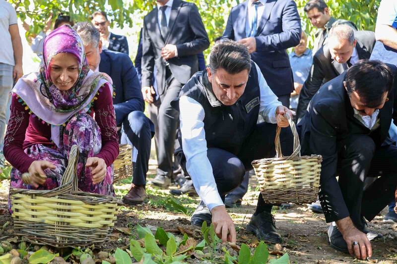 BİLECİK’İN GÖLPAZARI İLÇESİNE BAĞLI