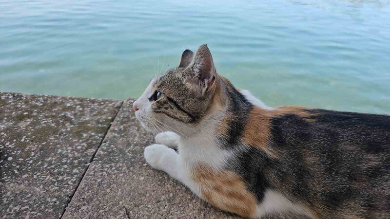 ZONGULDAK'IN EREĞLİ İLÇESİNDE SAHİL