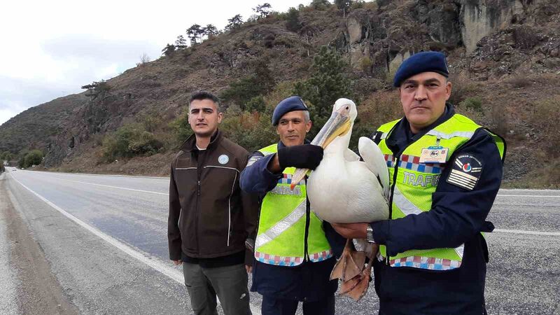 BOLU'DA DEVRİYE ATAN JANDARMA