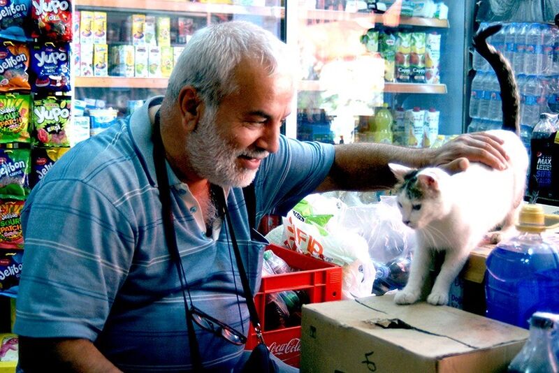 DİYARBAKIR SOKAK HAYVANLARINI KORUMA