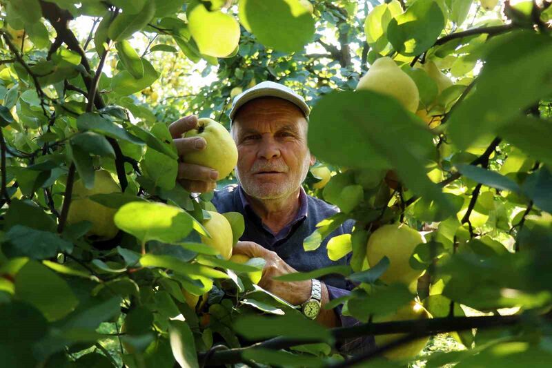 DÜNYAYA İHRACATI YAPILAN VE