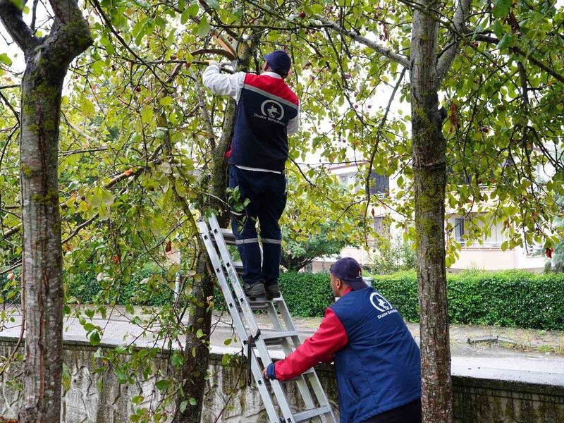 DÜZCE BELEDİYESİ PARK VE