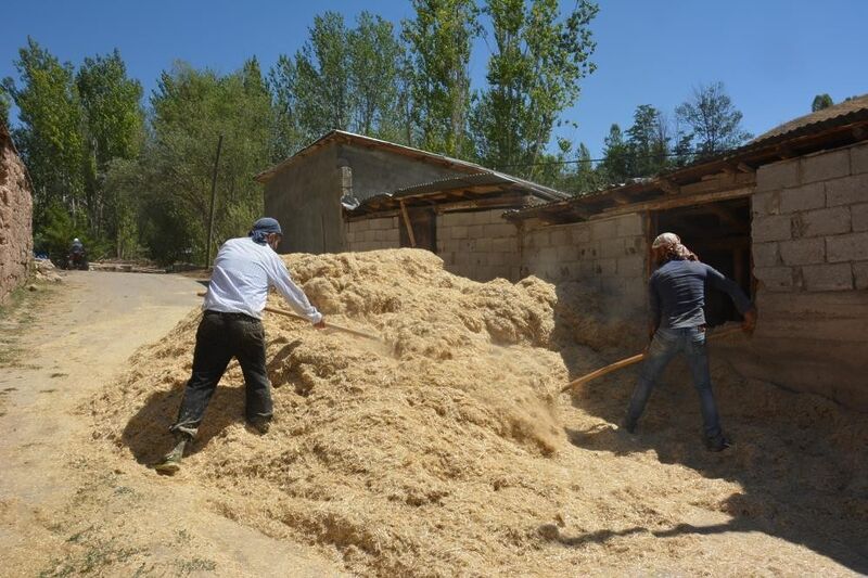 ERZİNCAN’DA ÇİFTÇİNİN KIŞ HAZIRLIĞI