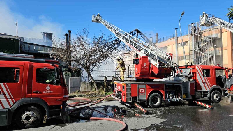 GAZİOSMANPAŞA’DA HALI SAHADA ÇIKAN