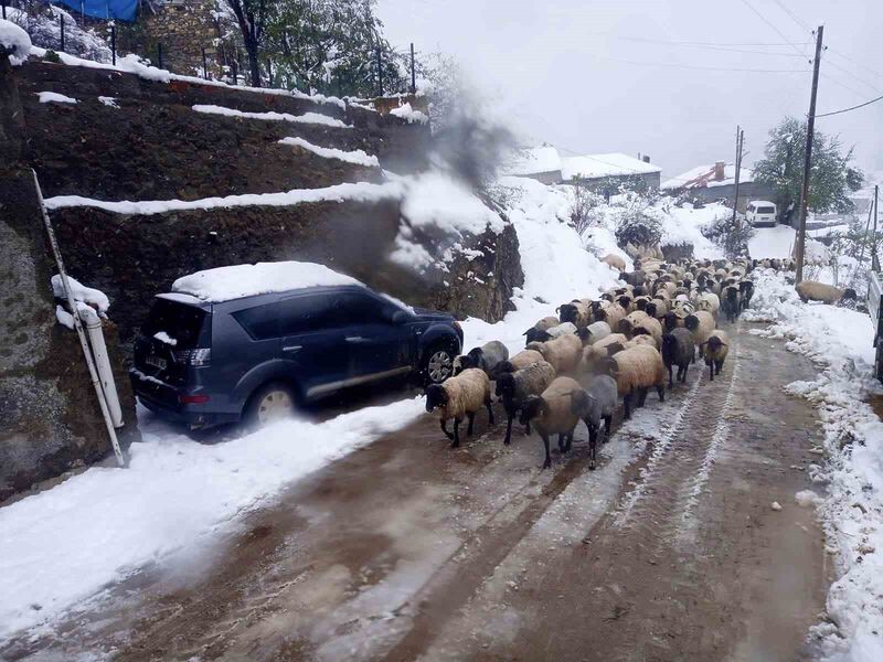 GİRESUN’UN YÜKSEK KESİMLERİNDE HAFTA