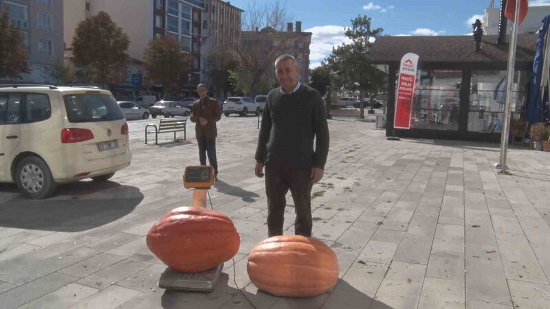 ANKARA’DA BİR ÇİFTÇİNİN BAHÇESİNDE