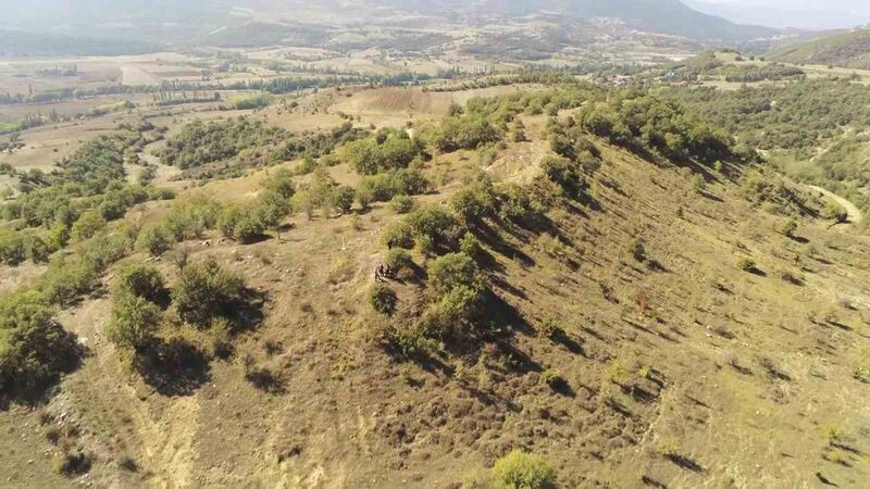 ANADOLU SELÇUKLU SULTANI 1.