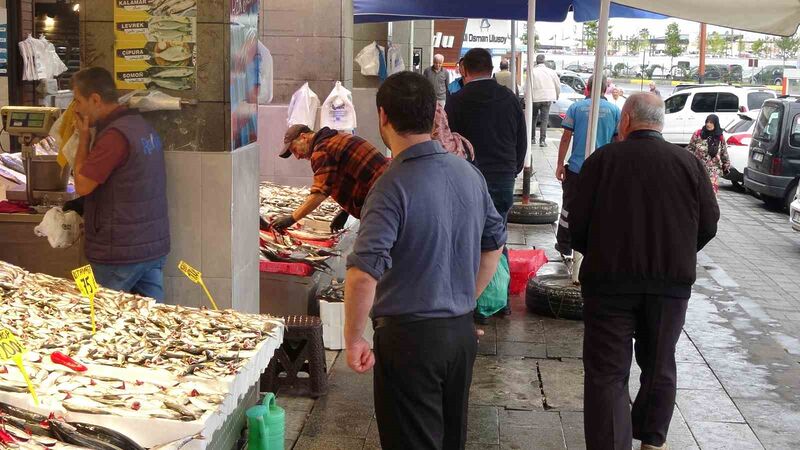 Havalar serinledi, palamuda ilgi arttı