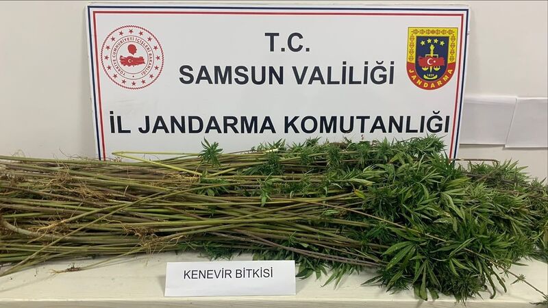 SAMSUN'DA JANDARMA EKİPLERİ TARAFINDAN