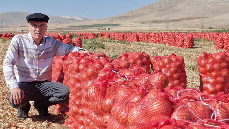 KARAMAN’DA HASADI BAŞLAYAN KURU