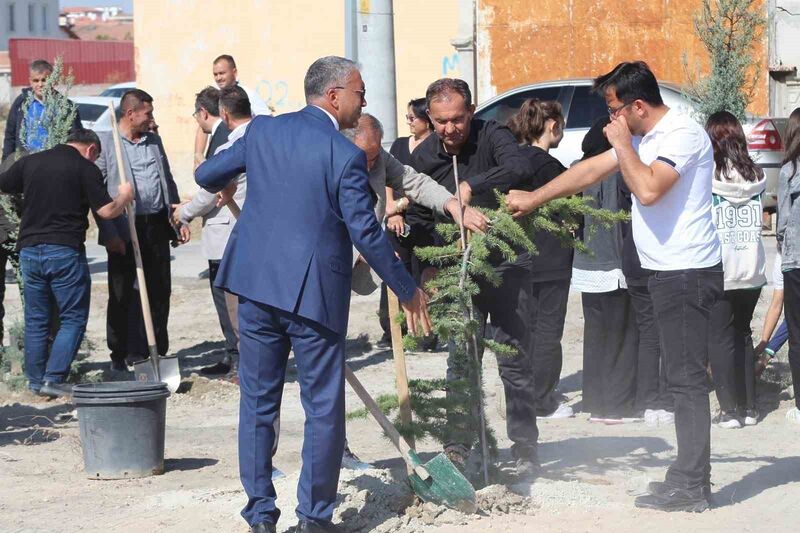 KONYA'NIN KARAPINAR İLÇESİNDE TAPU