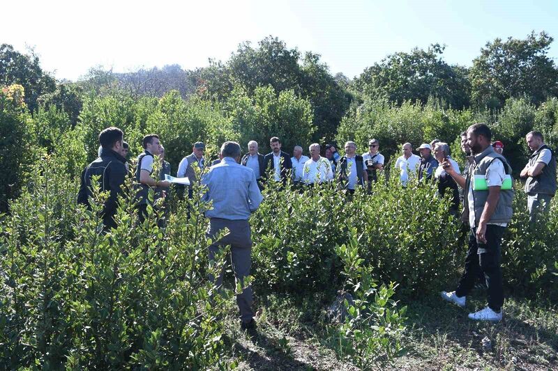 MUDANYA’DA, MESUDİYE KOOPERATİF ÜYELERİ