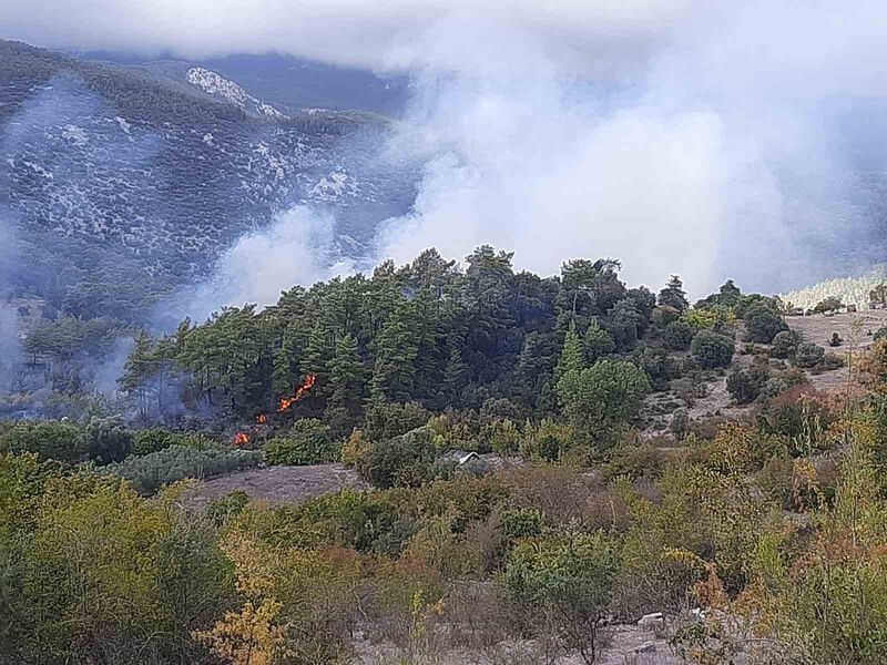 ANTALYA'NIN KUMLUCA İLÇESİNDE ÇIKAN