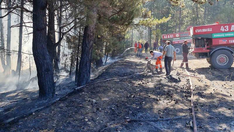 KÜTAHYA’NIN DOMANİÇ İLÇESİ DUABEY