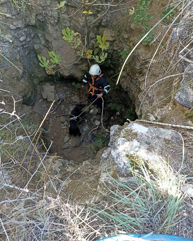 HATAY’DA KUYUYA DÜŞEN KÖPEK,