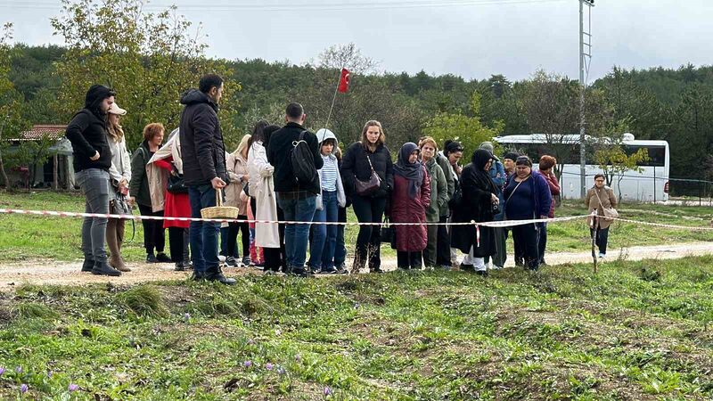 UNESCO DÜNYA MİRAS LİSTESİ'NDE