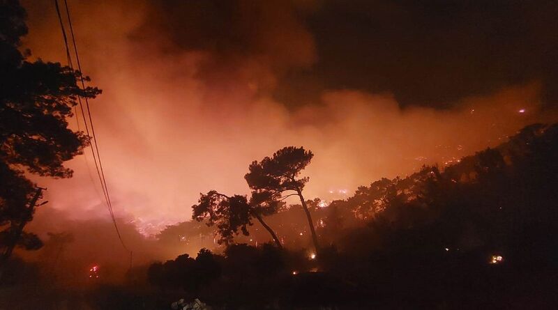 MUĞLA’YI ORMAN YANGINLARI ESİR