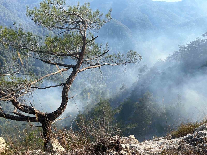 HATAY'DA AMANOSLAR'DA ÇIKAN ORMAN