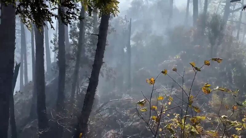 Orman yangınına müdahale çevre illerden destekle devam ediyor