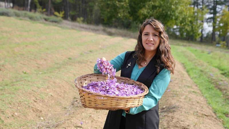 KARABÜK ÜNİVERSİTESİ SAĞLIK BİLİMLERİ